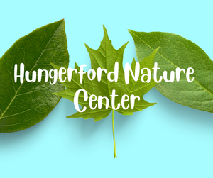 Hungerford Nature Ce